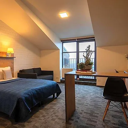 Loft 3* 维尔纽斯