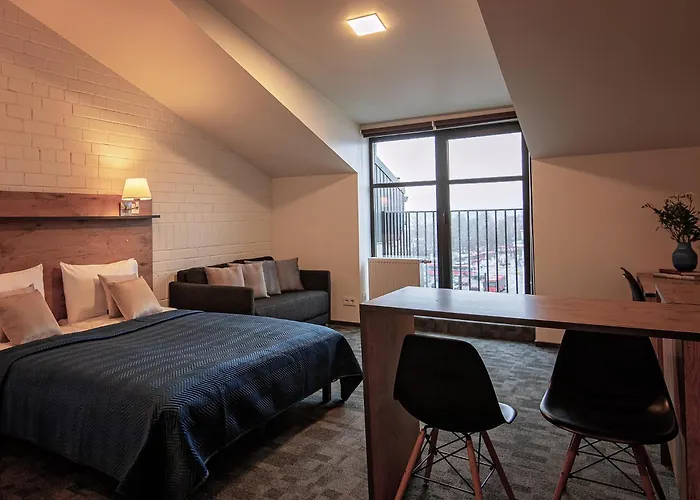 Loft 3* 维尔纽斯